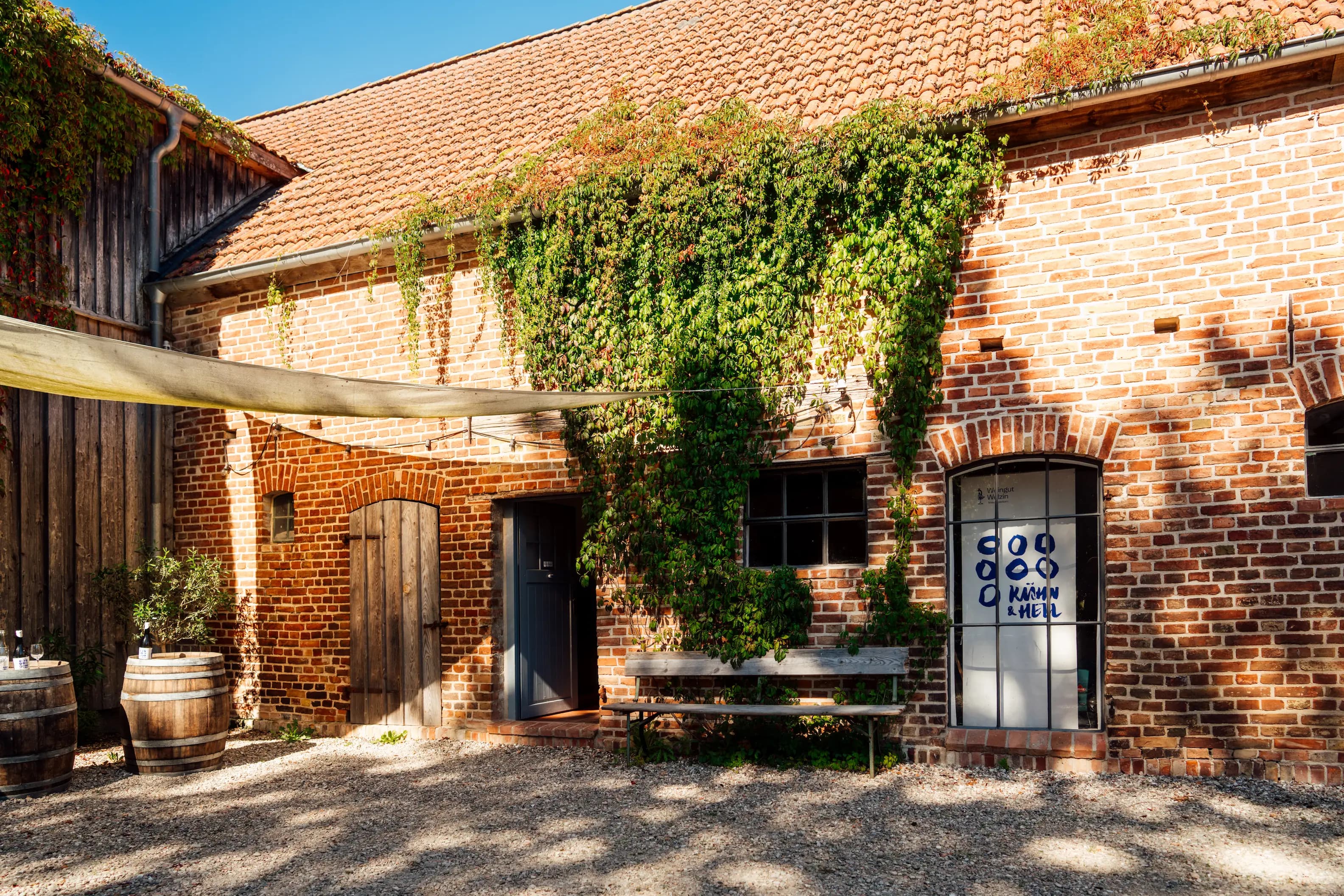 Weingut des Ferienhauses Welzin mit Weinreben und Blick auf den gepflegten Weinberg